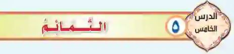 التمائم